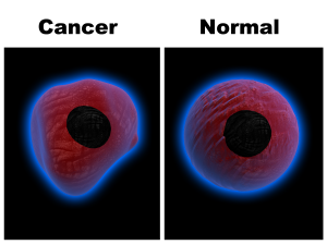 Similarities Between Normal and Cancer Cells